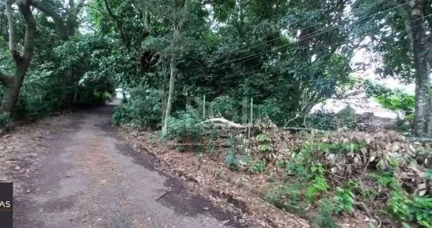 Terreno em Camaquã