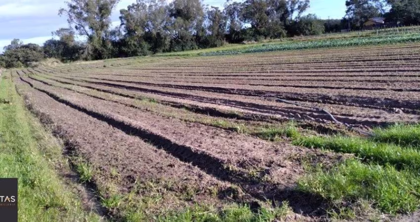 Terreno em Lageado