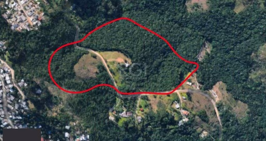 Area para Venda - 0m², 0 dormitórios, Cascata