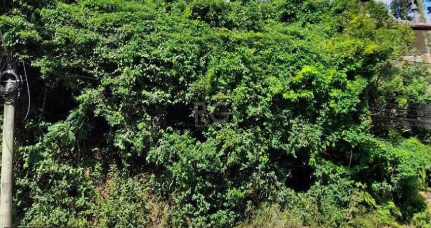 Terreno para Venda - 201m² - Vila Conceição