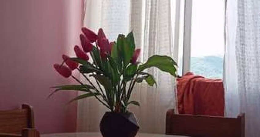 Apartamento em Restinga