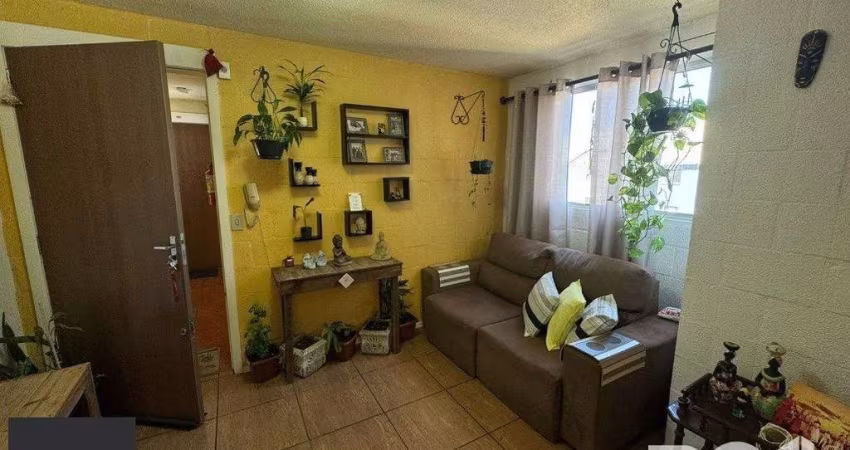 Apartamento em Campo Novo
