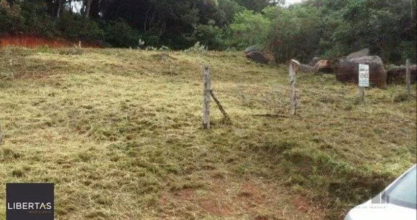 Terreno em Lageado