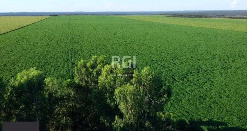 Terreno para Venda - 0m², 0 dormitórios, Centro