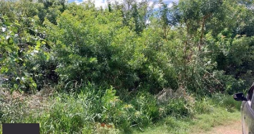 TERRENO NO LAGEADO - 20X50