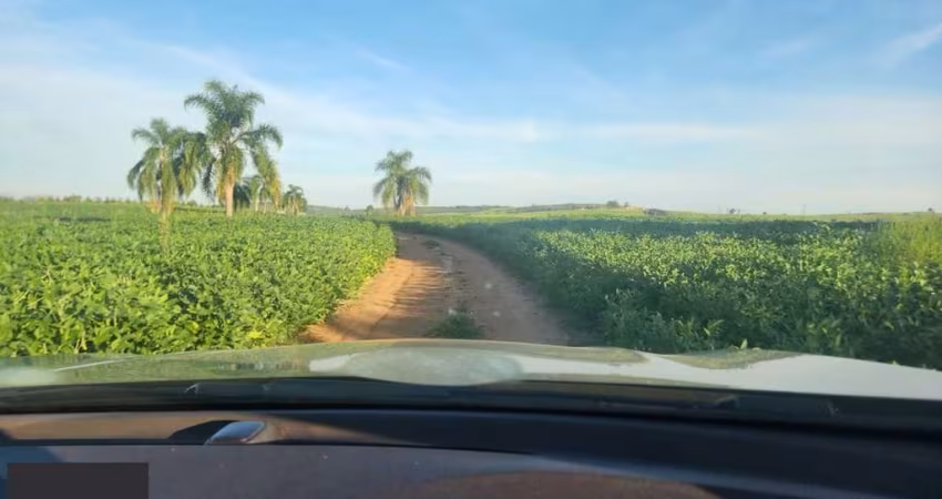 Fazenda apenas 50 quilômetros de PORTO ALEGRE
