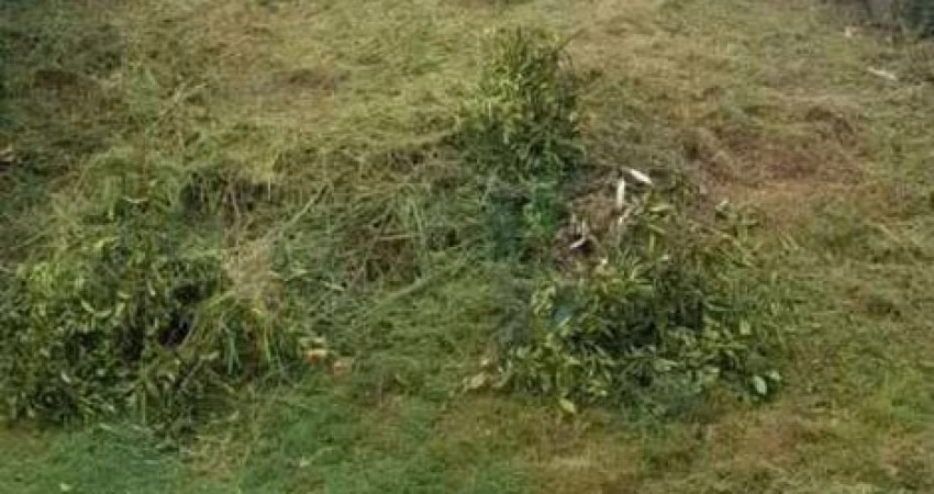Terreno a venda Bairro Agronomia