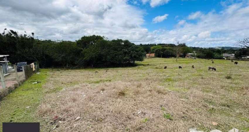Terreno em Lageado