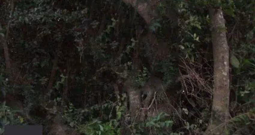 Terreno à venda na Avenida Edgar Pires de Castro, 2380, Aberta dos Morros, Porto Alegre