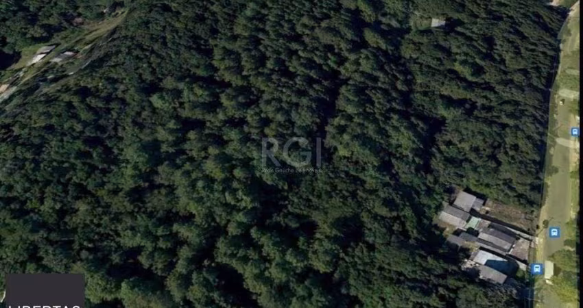 Área para Venda - 70.000m², Lomba do Pinheiro