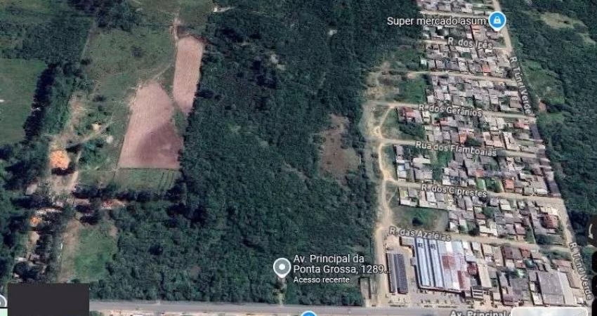 Terreno no Bairro Ponta Grossa com 17 Hectares