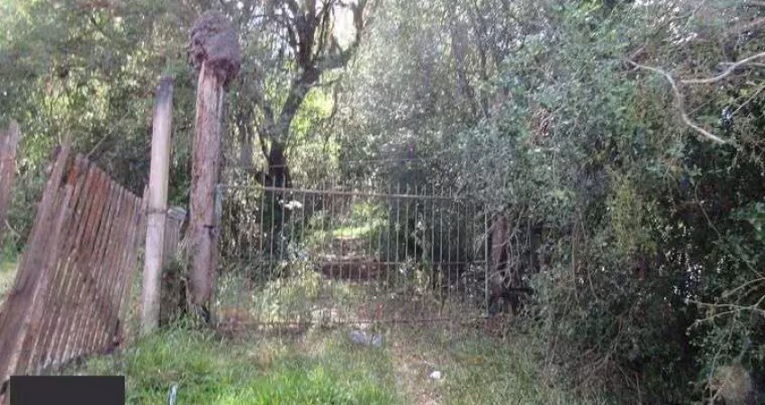Área 53851,44 m²  no beco da paixão bairro lomba do pinheiro