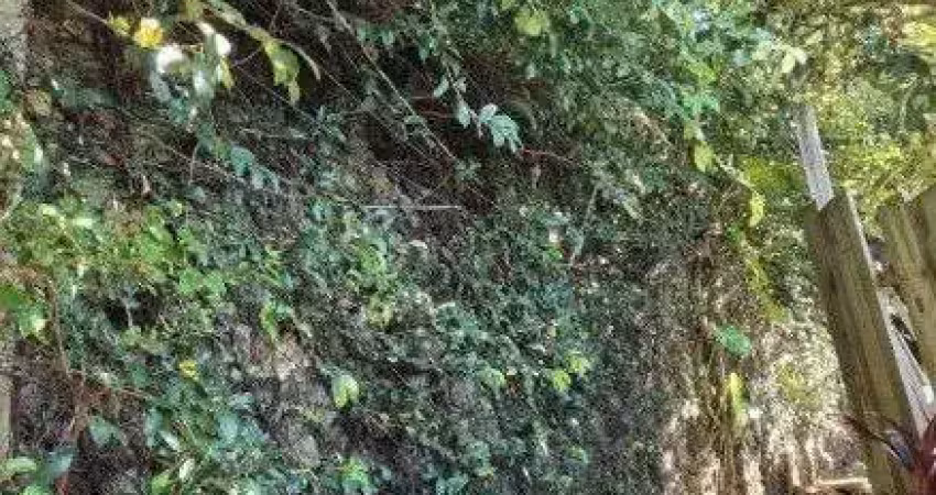 Terreno com 482 m² para venda no bairro santa tereza/menino deus em porto alegre/rs.