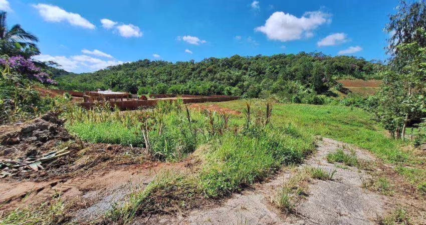 Terreno à venda, 2866 m² por R$ 1.150.000,00 - Santa Catarina - Joinville/SC