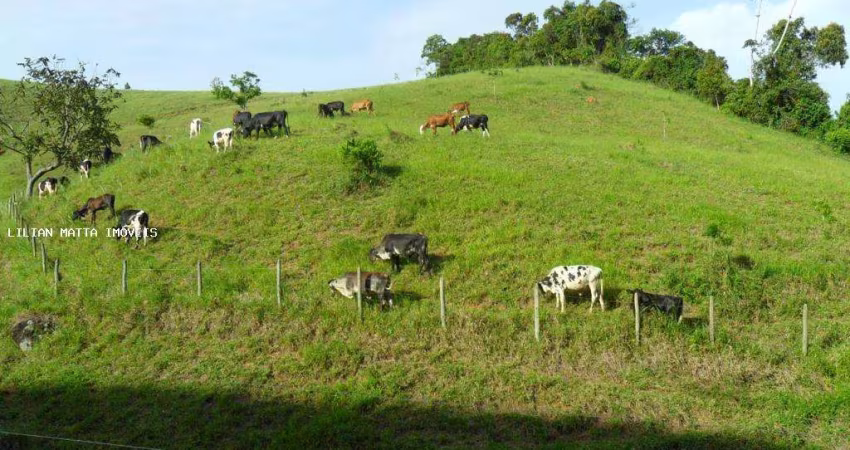 Sítio / Chácara para Venda em Santos Dumont, Centro, 3 dormitórios, 2 banheiros, 4 vagas