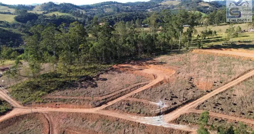 Terreno à venda na Rodovia José Bueno de Miranda, 100, Limas, Pedra Bela