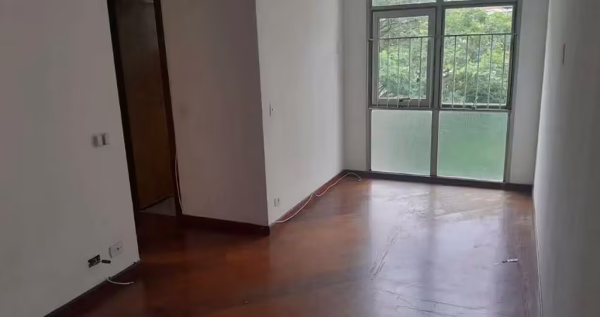 Apartamento para Venda em São Paulo, Vila Santa Catarina, 2 dormitórios, 1 banheiro, 2 vagas