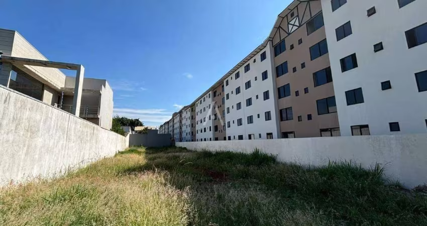 Terreno para locação no Roma em Cascavel