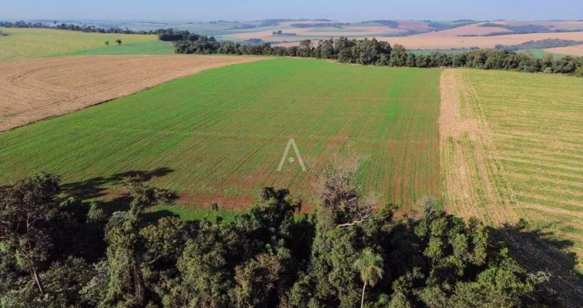 Chácara a venda a 11km do Centro de Cascavel