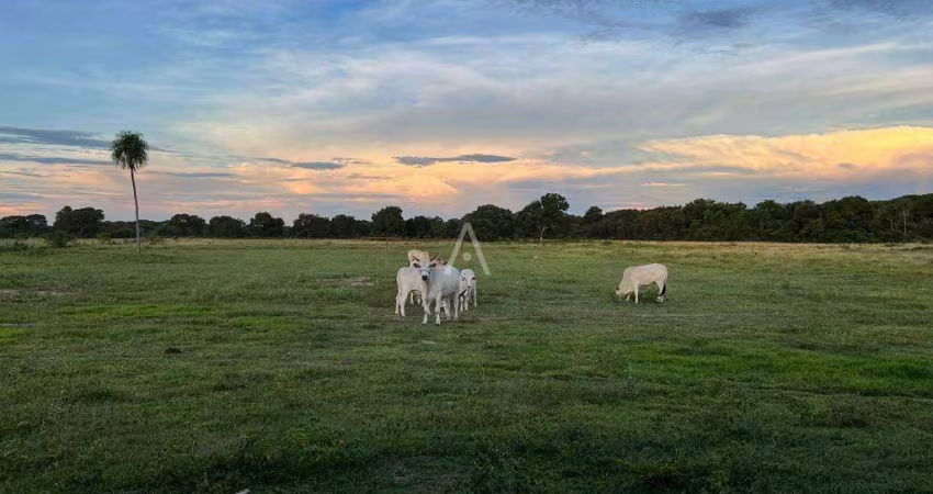 Fazenda a venda no Pantanal Alto, Itiquira - MT