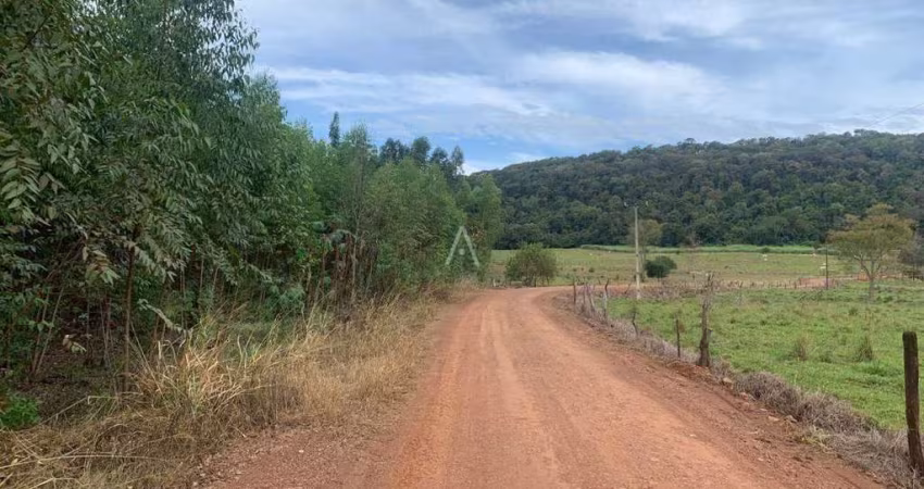 Imóveis Rurais à venda no Bairro Área Rural de Toledo em TOLEDO por R$ 440.000,00