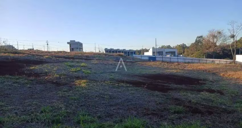 Terreno à venda no bairro tocantins em toledo por r$ 280.000,00