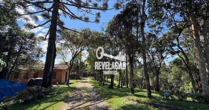 Chácara com 3 dormitórios à venda, 205160 m² por R$ 8.000.000,00 - Guarituba - Piraquara/PR