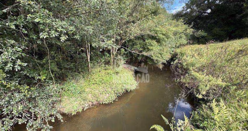Chácara com 26324 m² , perfeita para o seu projeto de vida!  Roça Velha - São José dos Pinhais/PR