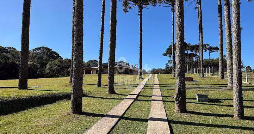 Chácara / sítio com 2 quartos à venda no Ribeirão Grande, Agudos do Sul 