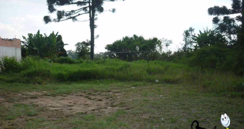 Terreno à venda, 924 m² por R$ 320.000,00 - São Sebastião - São José dos Pinhais/PR