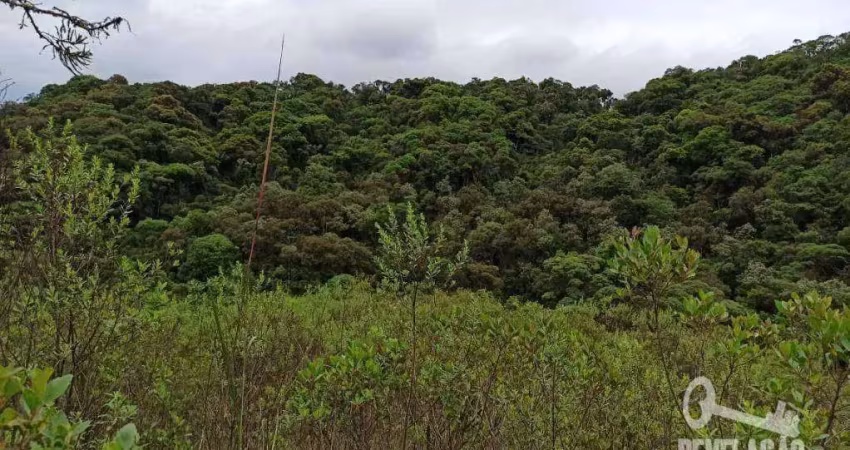 Área à venda, 179300 m² por r$ 620.000,00 - colônia murici - são josé dos pinhais/pr
