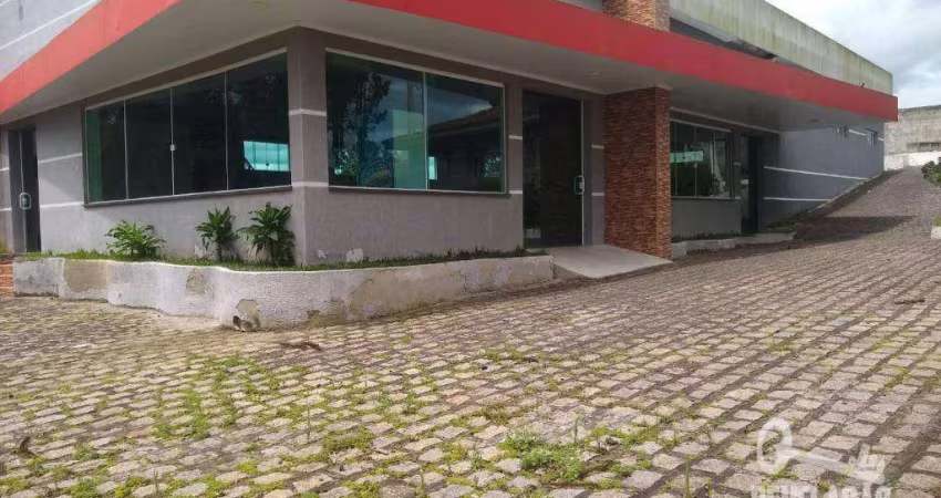 Chácara com  tanques e salão de eventos à venda, 36300 m² por R$ 3.400.000 - Roça Velha - São José dos Pinhais/PR
