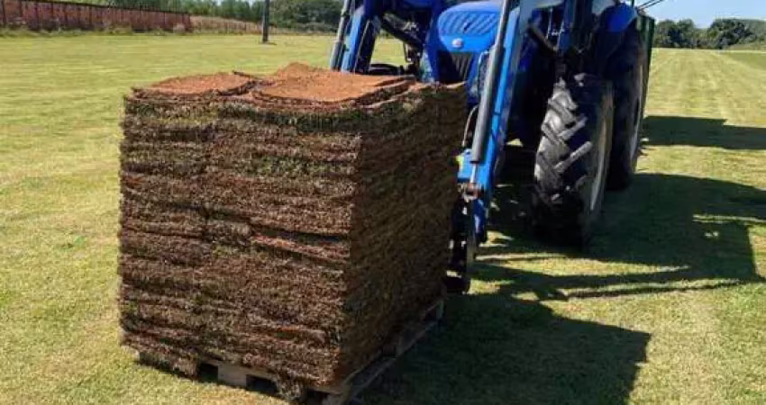 Comercial para venda em lucas do rio verde, área rural de lucas do rio verde