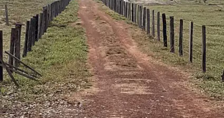 Sítio para venda em santo antônio do leverger, agro vila das palmeiras, 2 dormitórios, 1 suíte, 2 banheiros