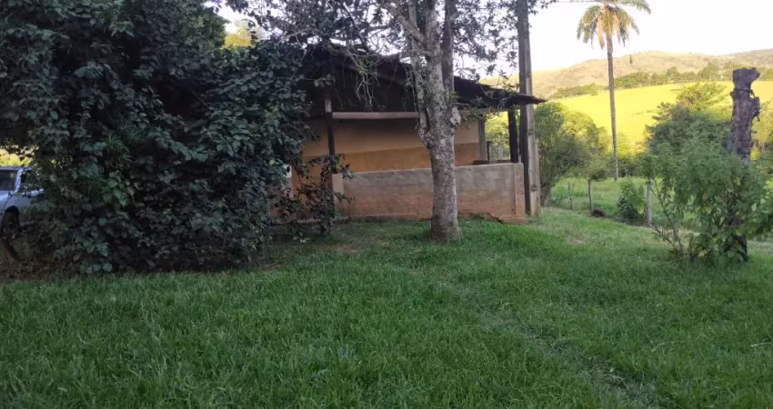 Sítio complantio de café e banana na região de são sebastião do paraiso-mg