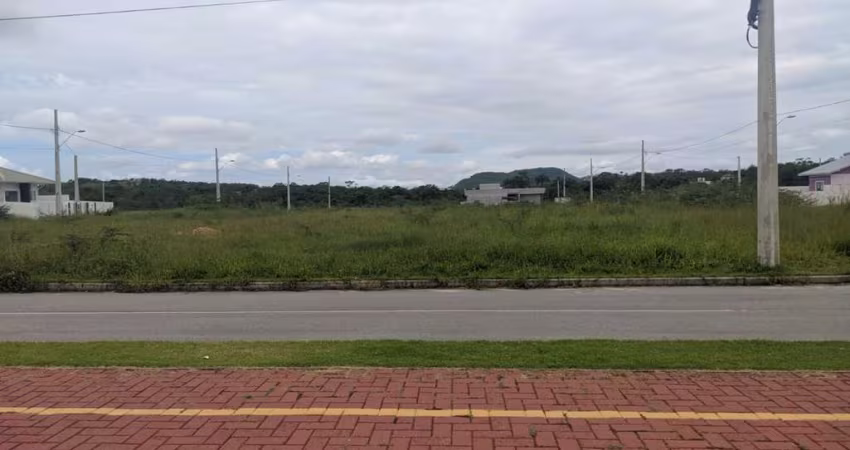 SEJA DONNO DESSE TERRENO EM FORQUILHAS-LISBOA III