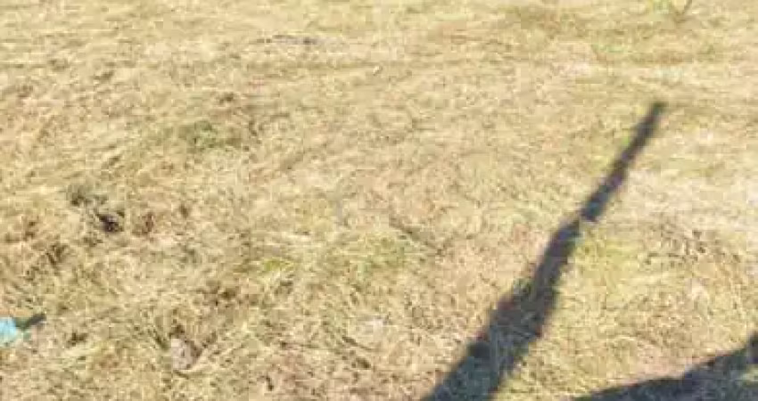Terreno à venda na José João Garcia, 34, Bela Vista, Palhoça