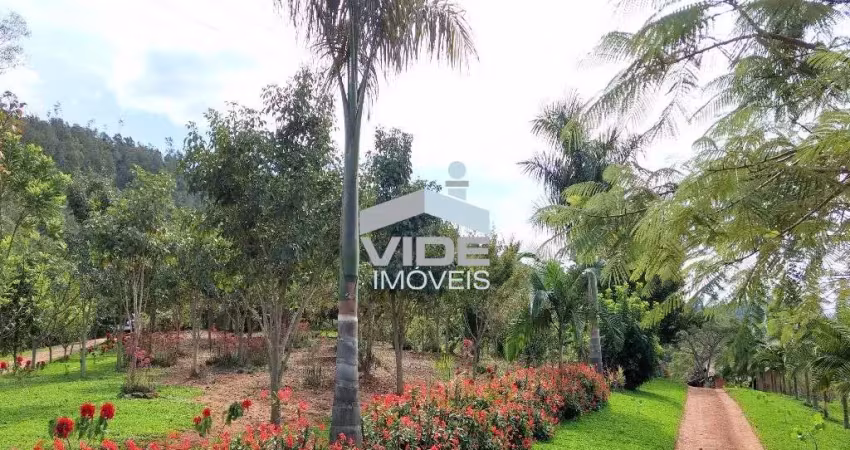 Sitio a venda em amparo, sitio nova alvorada com mata nativa.