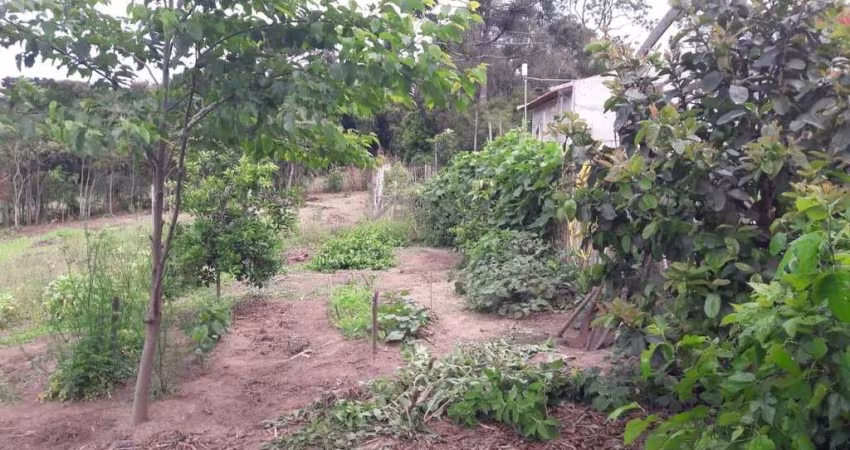 Terreno Rural para Venda em Lapa, Passa Dois