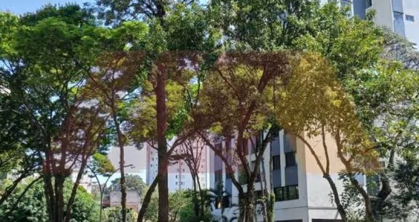 Apartamento de 2 dormitórios, sala 2 ambientes, cozinha e banheiro a venda no Lauzane Paulista
