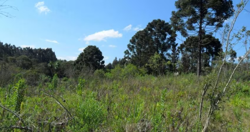 Terreno Lote para Venda em Centro Mandirituba-PR