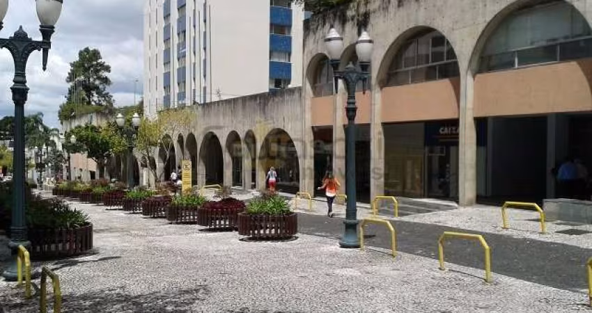 Apartamento Padrão para Venda em Água Verde Curitiba-PR
