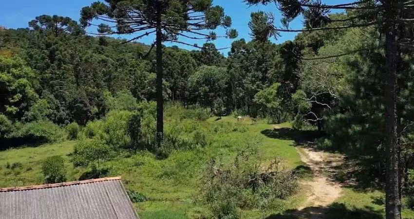 Chácara para Venda em Centro Bocaiúva do Sul-PR