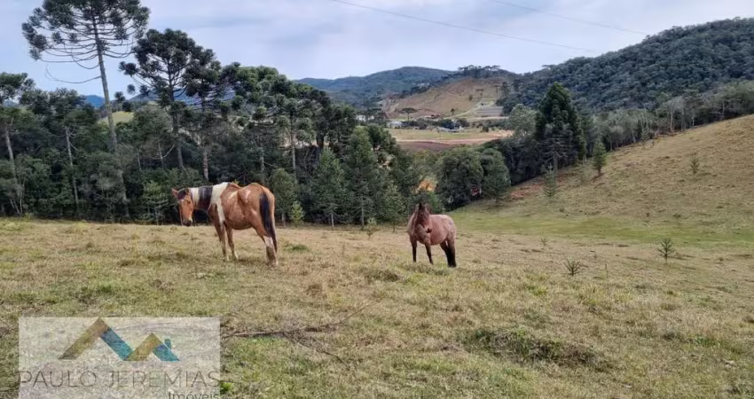 Sítio em rancho queimado - oportunidade para investimento