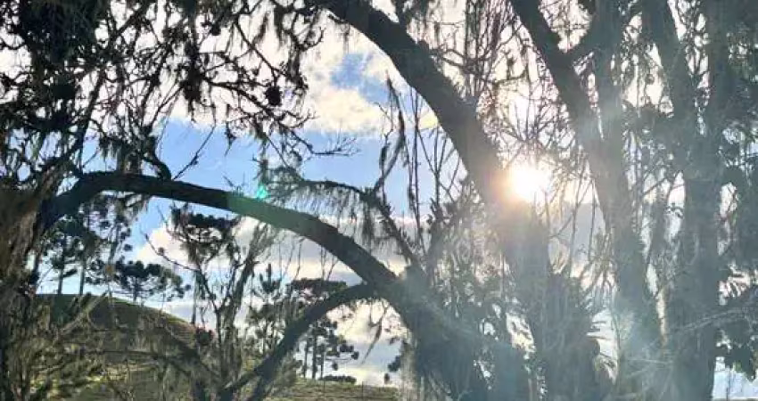 Fazenda à venda em rancho queimado, 280.000m² | vargedo