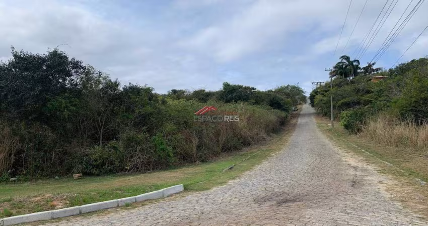 Lote com MIL METROS a 400m da Praia do Forno e 700m da Praia Brava.