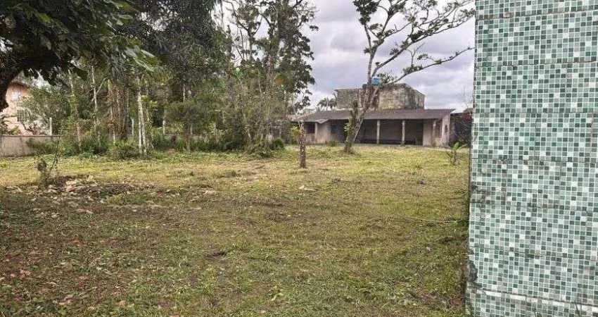 Chácara com árvores frutíferas e espaço para piscina em Itanhaém.