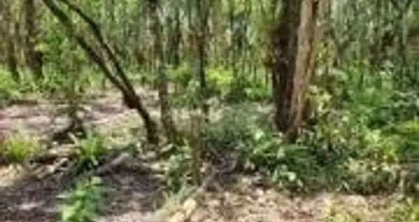Terreno à venda na Praça Ângelo Guerra, 8, Balneário Gaivota, Itanhaém