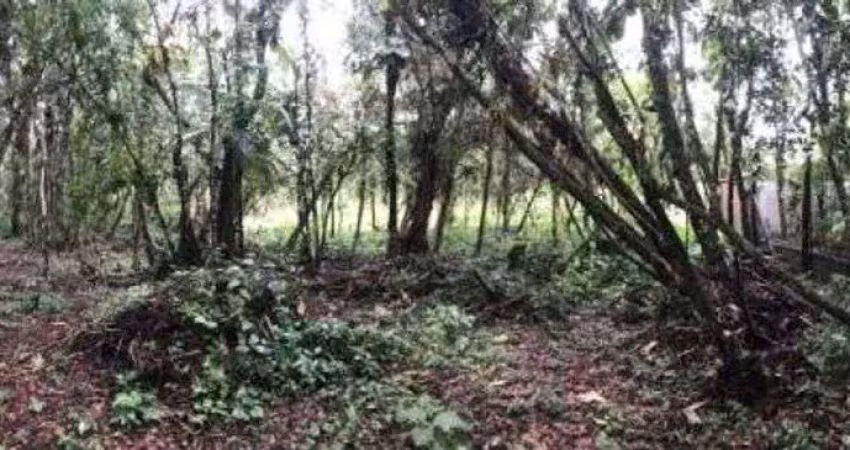 Terreno à venda na Praça Ângelo Guerra, 16, Chácara Lucél, Itanhaém