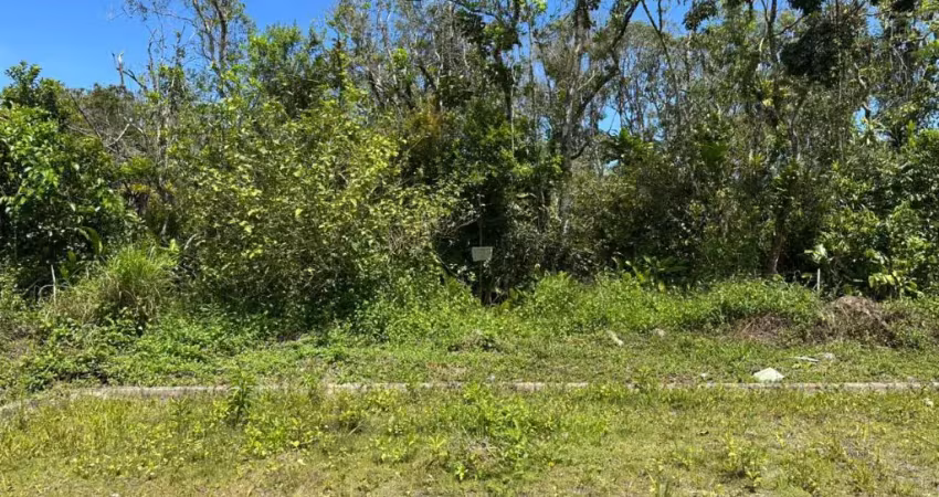Terreno com escritura à 1200m da rodovia em itanhaém.